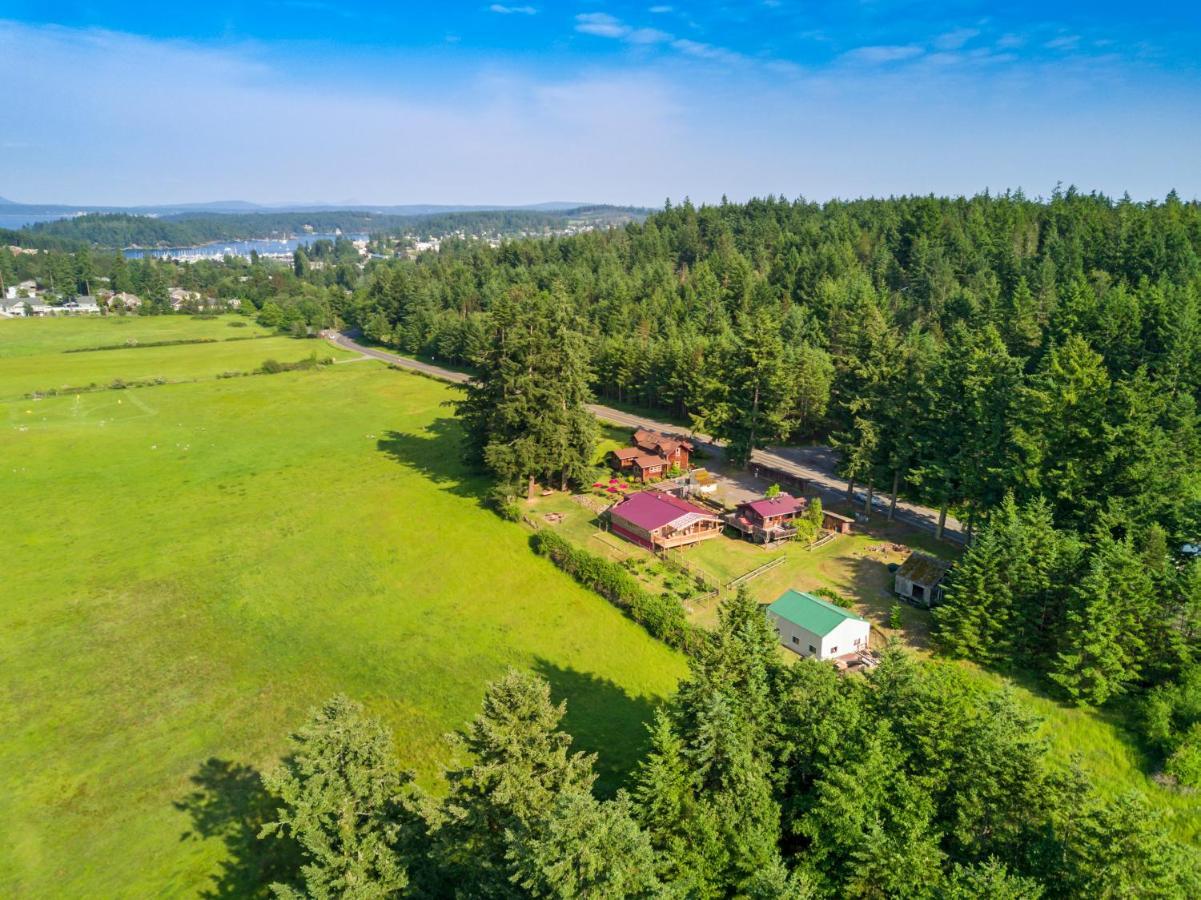 Juniper Lane Guest House Friday Harbor Esterno foto